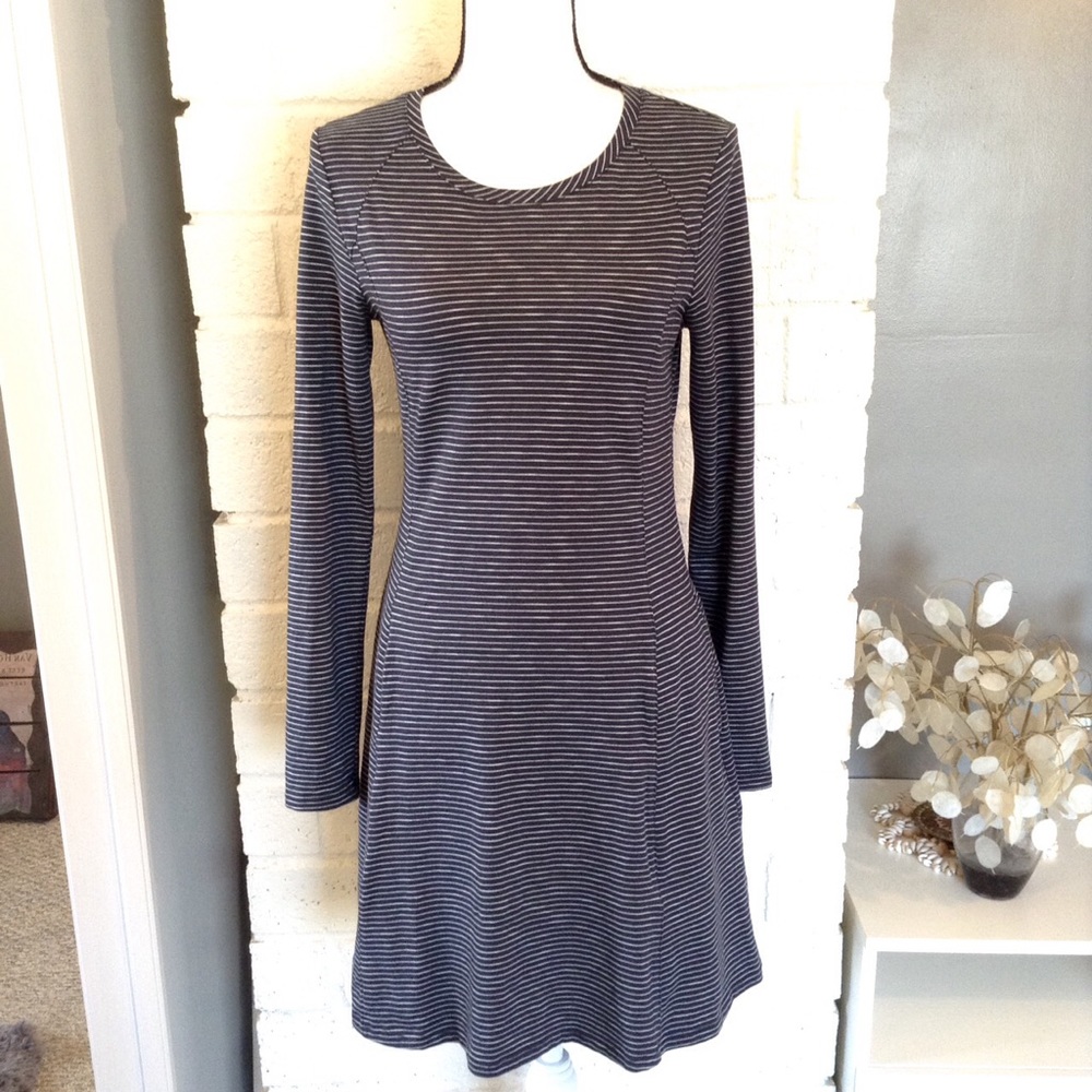 Toad & Co. Blue White Striped Long Sleeve Dress